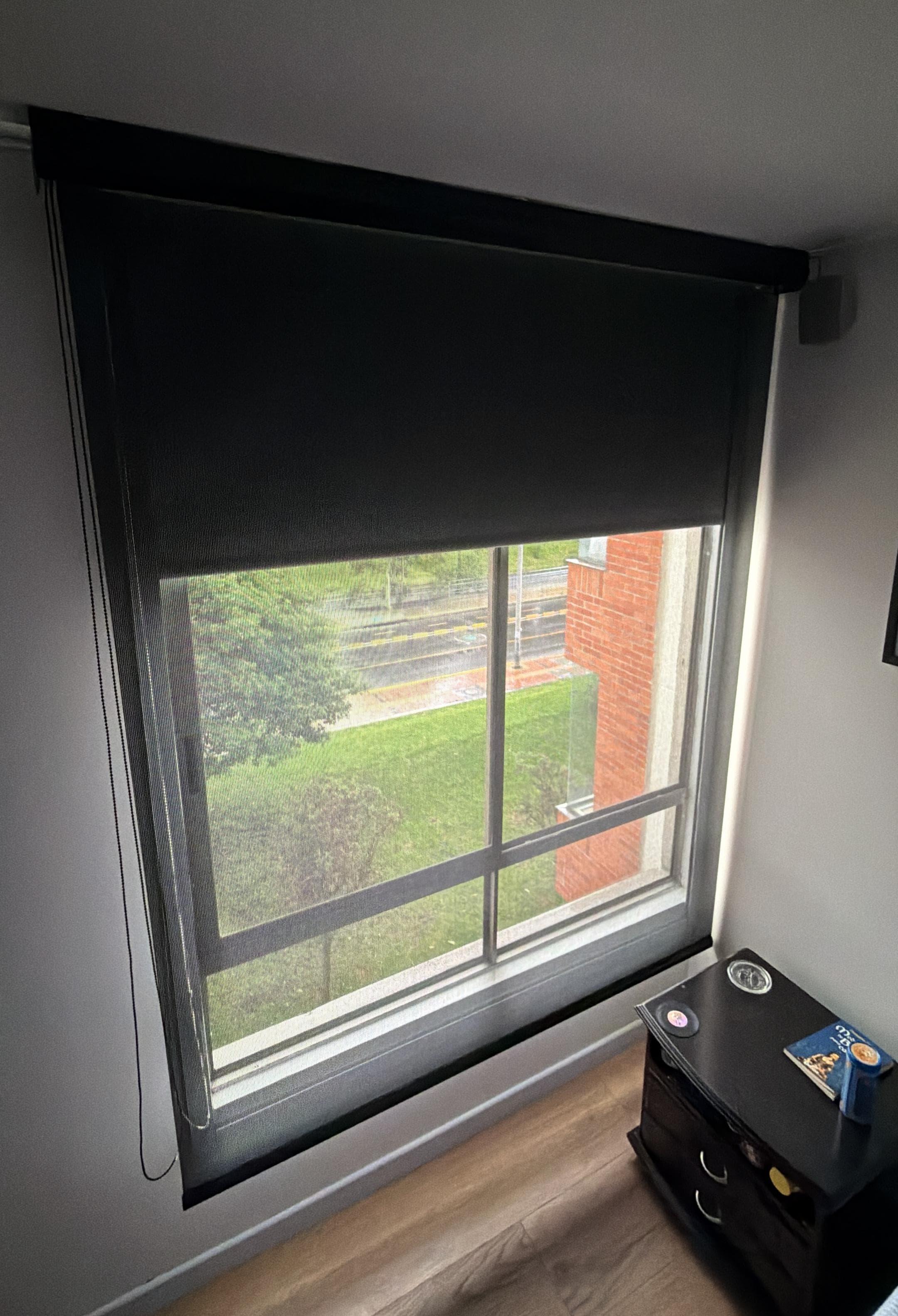 Cortina roller tipo screen negro en ventana con vista exterior verde